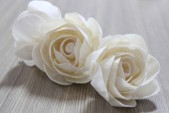 shapes of sola flowers
